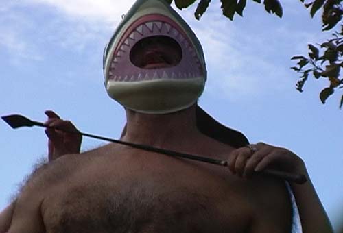 shark