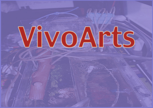 aaaaavivoarts