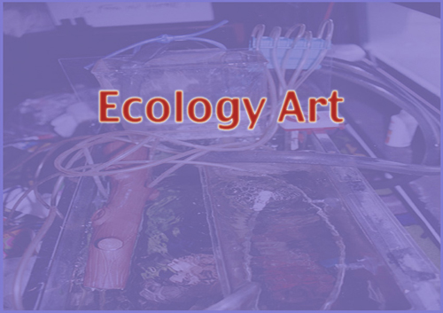 aaaecoart
