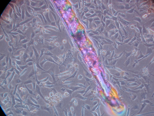 oDSCN1680
