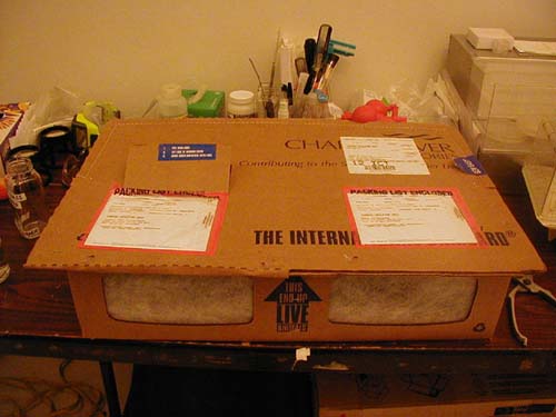 mouse box better