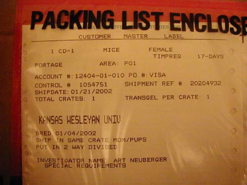 mouse ship label 2