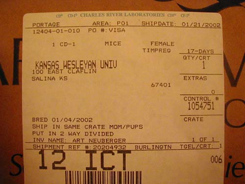 mouse shipping label