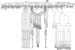 celeganslineageusethis
